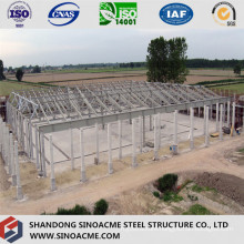 Steel Frame/ Steel Building for Industrial
